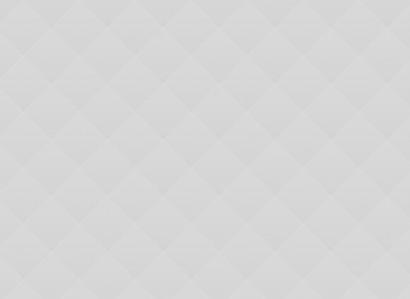 ENCUENTROS CON EL PERSONAL Y/O  PADRES DE ALUMNOS